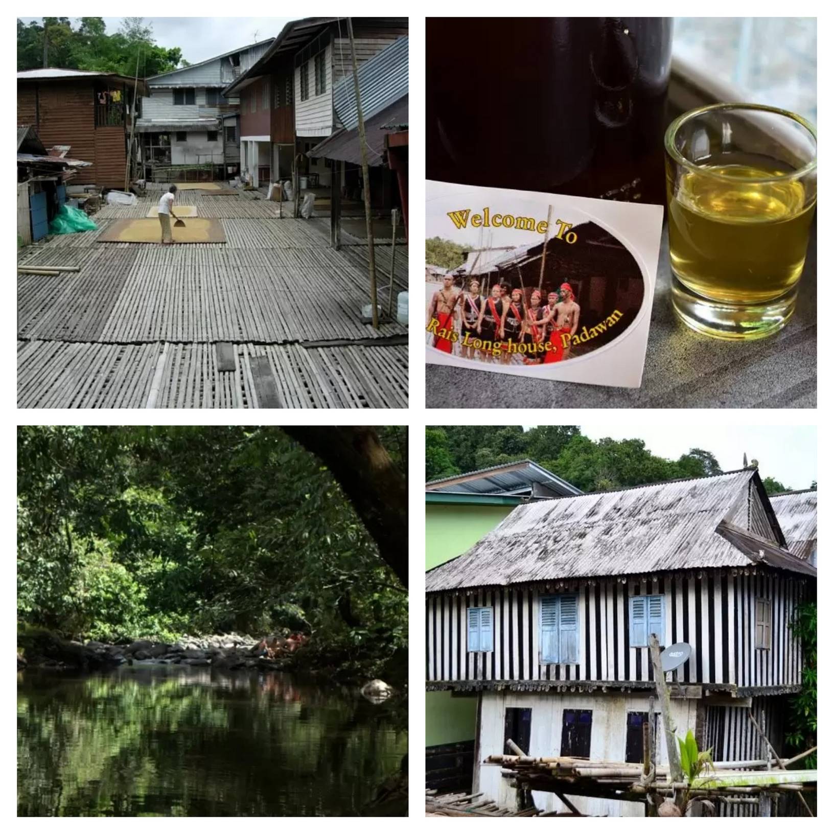 Annah Rais Bidayuh Longhouse Tour